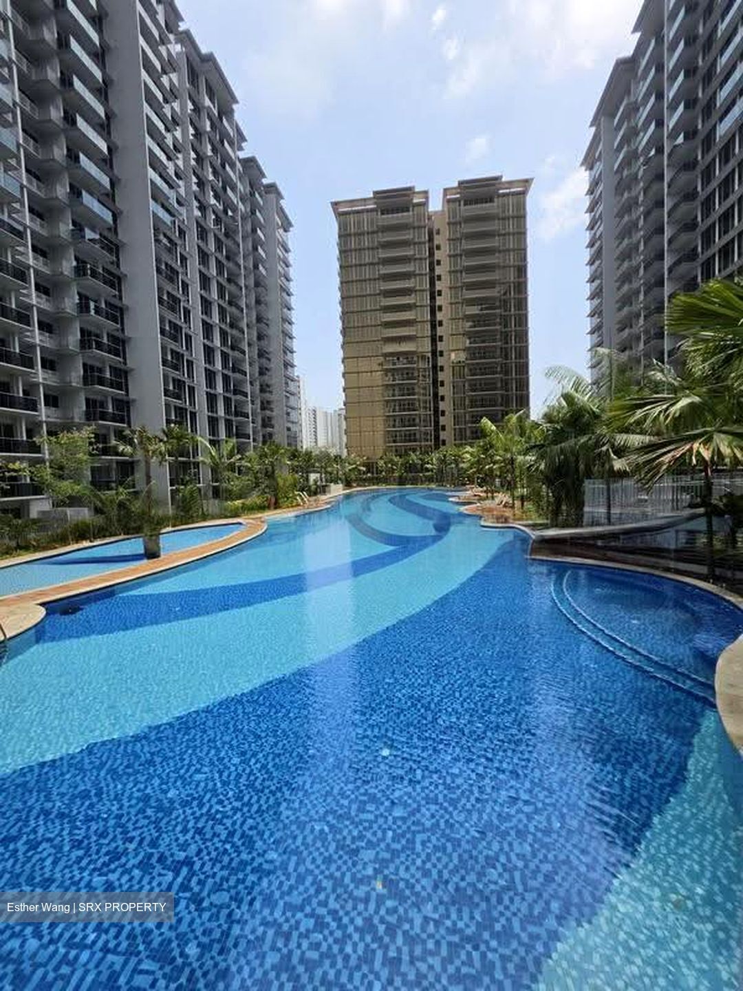 Dunman Road (D15), Condominium #612740991